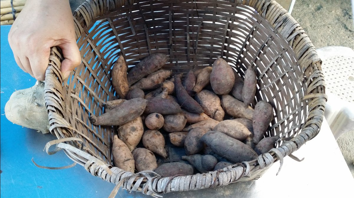 20131124 Organic Farm45
